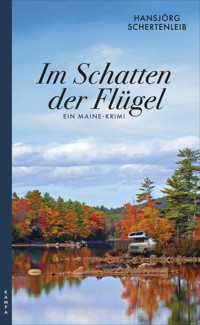Im Schatten der Flügel - Hansjörg Schertenleib - E-Book