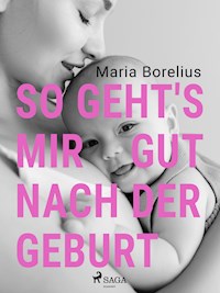 So geht's mir gut nach der Geburt - Maria Borelius - E-Book