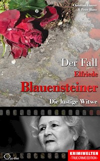 Der Fall Elfriede Blauensteiner - Christian Lunzer - E-Book