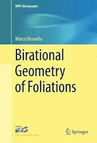 Birational Geometry of Foliations - Marco Brunella - E-Book