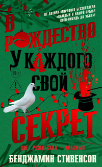 В Рождество у каждого свой секрет - Бенджамин Стивенсон - E-Book
