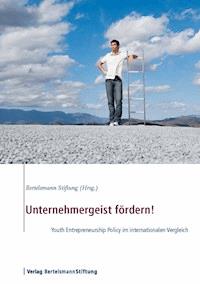 Unternehmergeist fördern! -  - E-Book