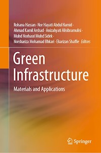 Green Infrastructure -  - E-Book
