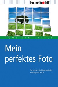 Mein perfektes Foto - Tom! Striewisch - E-Book