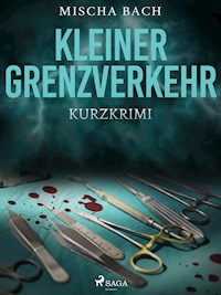 Kleiner Grenzverkehr - Kurzkrimi - Mischa Bach - E-Book