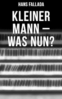 Kleiner Mann – was nun? - Hans Fallada - E-Book