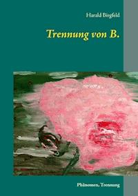 Trennung von B. - Harald Birgfeld - E-Book