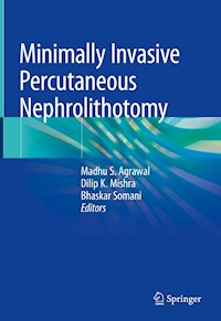 Minimally Invasive Percutaneous Nephrolithotomy - - E-Book
