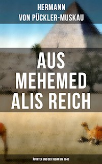 AUS MEHEMED ALIS REICH: Ägypten und der Sudan um 1840 - Hermann von Pückler-Muskau - E-Book