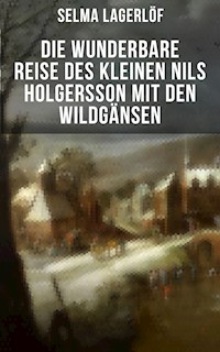 Die wunderbare Reise des kleinen Nils Holgersson mit den Wildgänsen - Selma Lagerlöf - E-Book