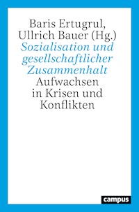 Sozialisation und gesellschaftlicher Zusammenhalt -  - kostenlos E-Book
