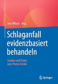 Schlaganfall evidenzbasiert behandeln -  - E-Book