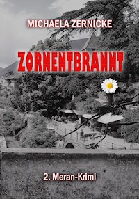 Zornentbrannt - Michaela Zernicke - E-Book