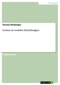 Lernen in sozialen Beziehungen - Verena Heitzinger - E-Book