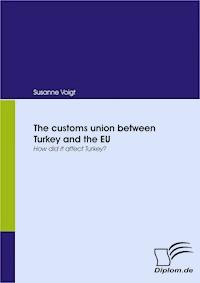 The customs union between Turkey and the EU - Susanne Voigt - E-Book
