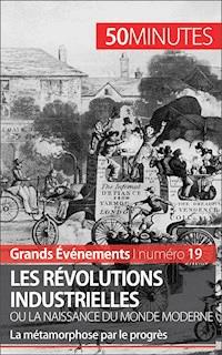 Les révolutions industrielles ou la naissance du monde moderne - Jérémy Rocteur - E-Book
