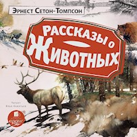 Рассказы о животных - Эрнест Сетон-Томпсон - Hörbuch