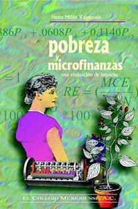 Pobreza y microfinanzas - Henio Millán Valenzuela - E-Book