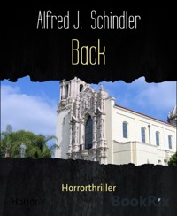 Back - Alfred J. Schindler - E-Book