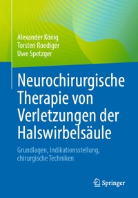 Neurochirurgische Therapie von Verletzungen der Halswirbelsäule - Alexander König - E-Book