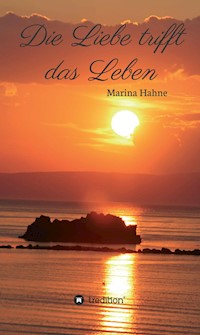 Die Liebe trifft das Leben - Marina Hahne - E-Book