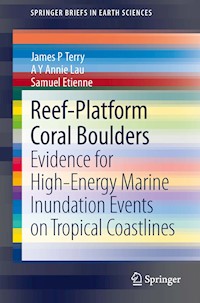 Reef-Platform  Coral  Boulders - James P Terry - E-Book