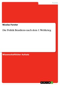 Die Politik Brasiliens nach dem 1. Weltkrieg - Nicolas Forster - E-Book