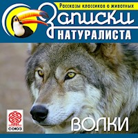 Волки - Ф. Марза - Hörbuch