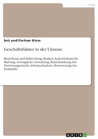 Geschäftsführer in der Ukraine - bnt und Partner Kiew - E-Book