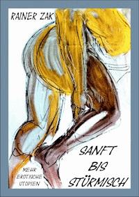 Sanft bis stürmisch - Rainer Zak - E-Book