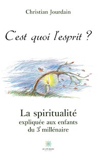 C’est quoi l’esprit ? - Christian Jourdain - E-Book