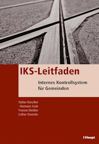 IKS-Leitfaden - Stefan Hunziker - E-Book