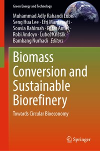 Biomass Conversion and Sustainable Biorefinery -  - E-Book