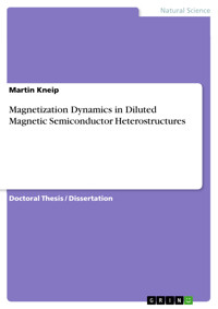 Magnetization Dynamics in Diluted Magnetic Semiconductor Heterostructures - Martin Kneip - E-Book