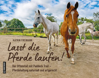 Lasst die Pferde laufen - Katrin Freimann - E-Book