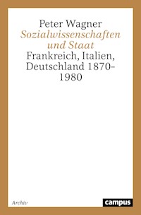 Sozialwissenschaften und Staat - Peter Wagner - E-Book