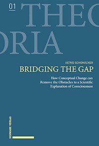 Bridging the Gap - Astrid Schomäcker - E-Book