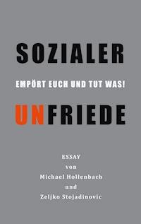 Sozialer Unfriede - Michael Hollenbach - E-Book