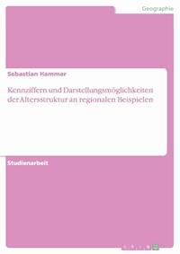 Kennziffern und Darstellungsmöglichkeiten der Altersstruktur an regionalen Beispielen - Sebastian Hammer - E-Book