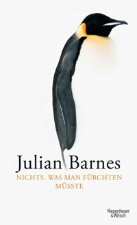 Nichts, was man fürchten müsste - Julian Barnes - E-Book