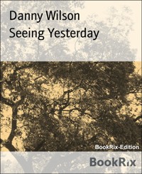 Seeing Yesterday - Danny Wilson - E-Book