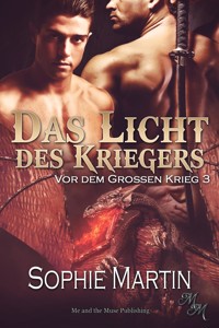 Das Licht des Kriegers - Sophie Martin - E-Book