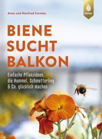 Biene sucht Balkon - Anne Carsten - E-Book