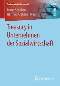 Treasury in Unternehmen der Sozialwirtschaft -  - E-Book