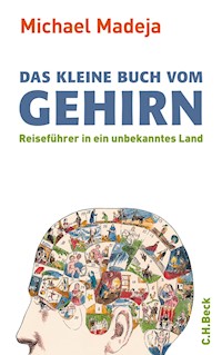 Das kleine Buch vom Gehirn - Michael Madeja - E-Book