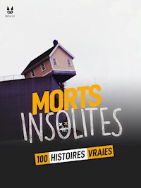 100 HISTOIRES VRAIES DE MORTS INSOLITES - John Mac - E-Book