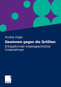 Gewinnen gegen die Größten - Andrej Vizjak - E-Book