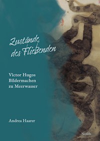 Zustände des Fließenden - Andrea Haarer - E-Book