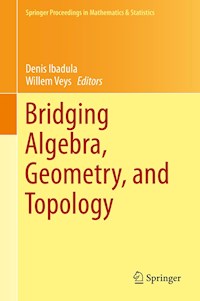 Bridging Algebra, Geometry, and Topology -  - E-Book