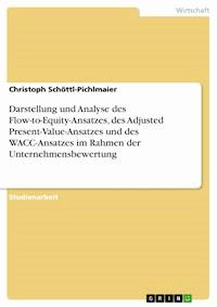 Darstellung und Analyse des Flow-to-Equity-Ansatzes, des Adjusted Present-Value-Ansatzes und des WACC-Ansatzes im Rahmen der Unternehmensbewertung - Christoph Schöttl-Pichlmaier - E-Book